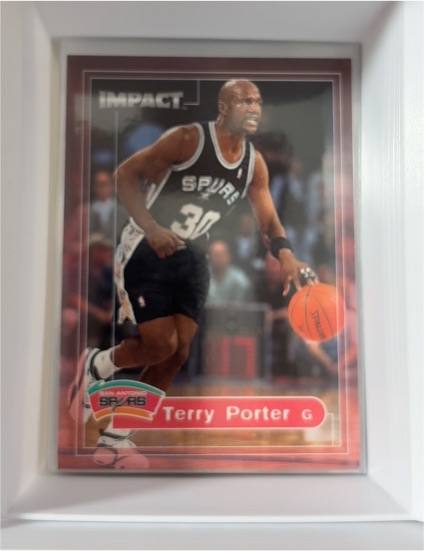 1999-00 Skybox Impact #199 Terry Porter — front
