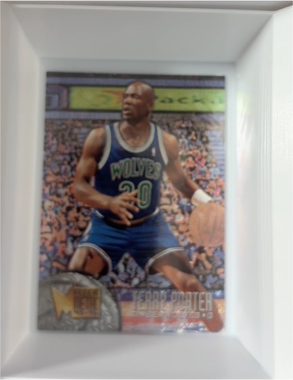 1995-96 Fleer Metal #168 Terry Porter — front