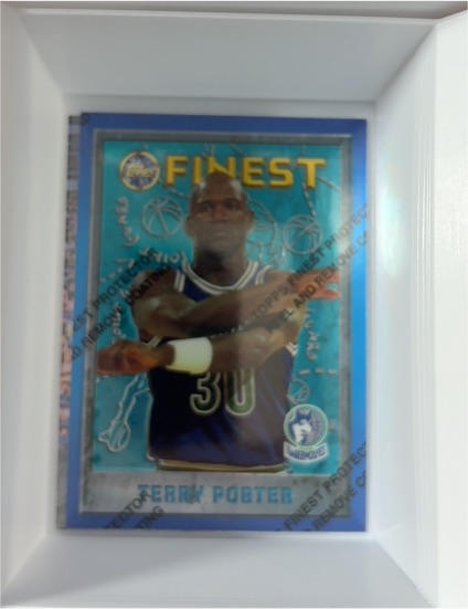 1995-96 Topps Finest #222 Terry Porter — front