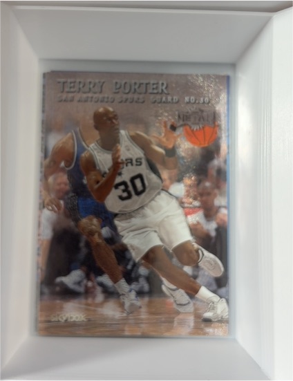 1999-00 Skybox Metal #35 Terry Porter — front