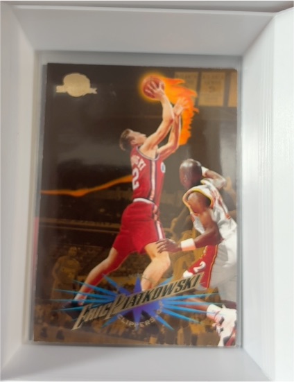 1995-96 Skybox Premium #54 Eric Piatkowski — front