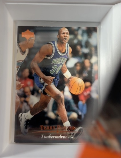 1995-96 Upper Deck #187 Terry Porter — front