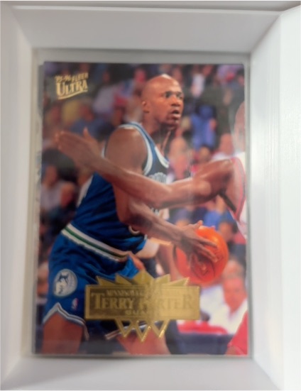 1995-96 Fleer Ultra #228 Terry Porter — front