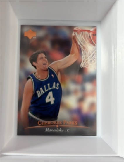 1995-96 Upper Deck #130 Cherokee Parks — front