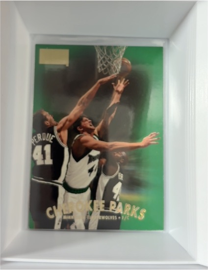 1997-98 SkyBox Premium #186 Cherokee Parks — front
