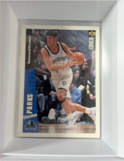 1996-97 Upper Deck Collector's Choice #282 Cherokee Parks — front