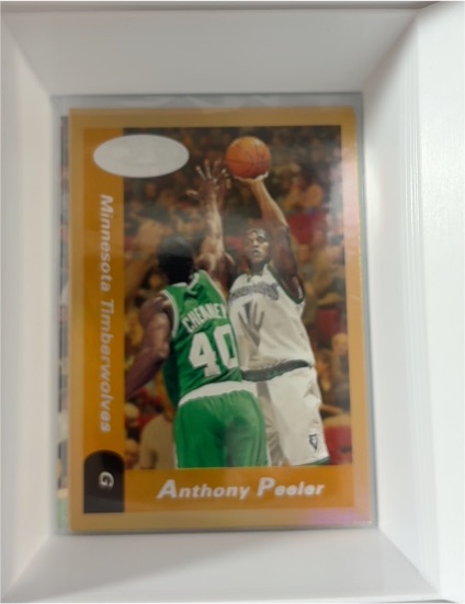 2000-01 NBA Hoops Hot Prospects #7 Anthony Peeler — front