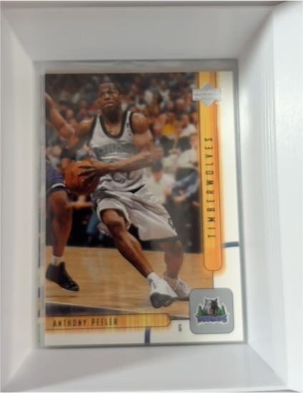 2001-02 Upper Deck #104 Anthony Peeler — front