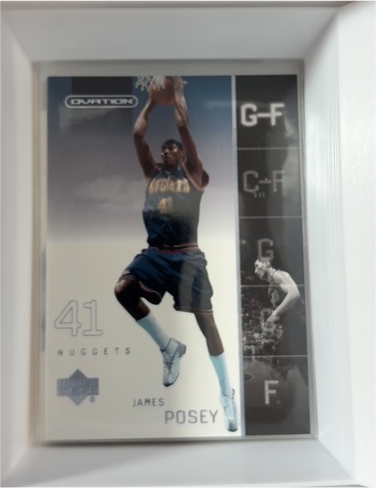 2002-03 Upper Deck Ovation #41 James Posey — front