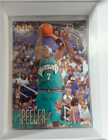 1996-97 Fleer #263 Anthony Peeler — front