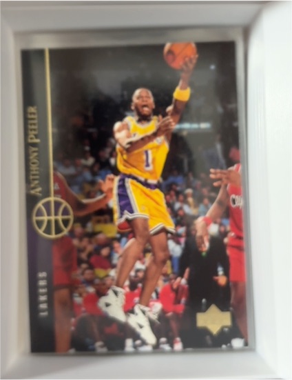 1994-95 Upper Deck #65 Anthony Peeler — front