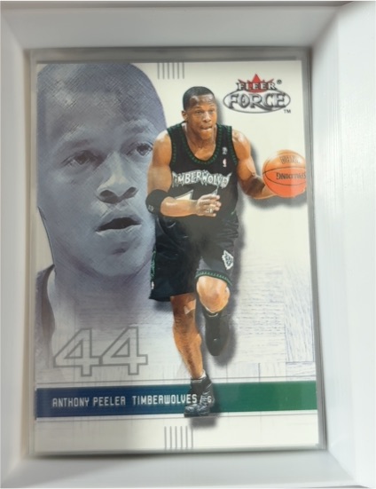 2001-02 Fleer Force #154 Anthony Peeler — front