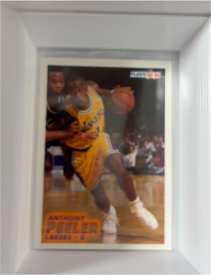 1993-94 Fleer #103 Anthony Peeler — front