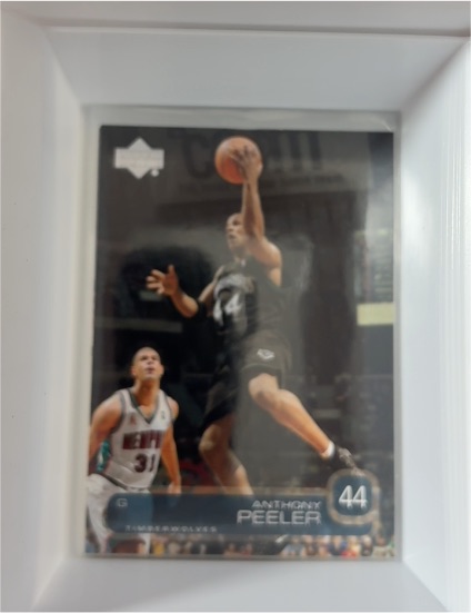 2002-03 Upper Deck #44 Anthony Peeler — front