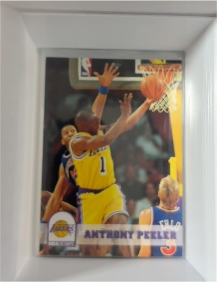 1993-94 Skybox NBA Hoops #107 Anthony Peeler — front