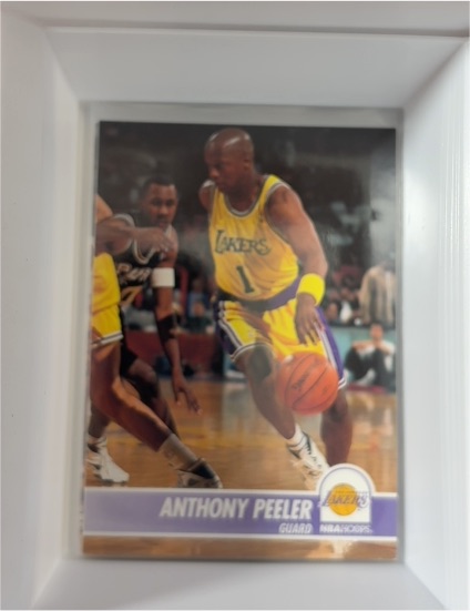 1994-95 NBA Hoops #103 Anthony Peeler — front