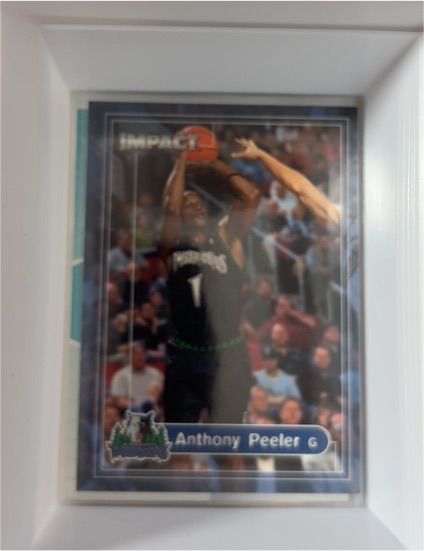 1999-00 SkyBox Impact #35 Anthony Peeler — front