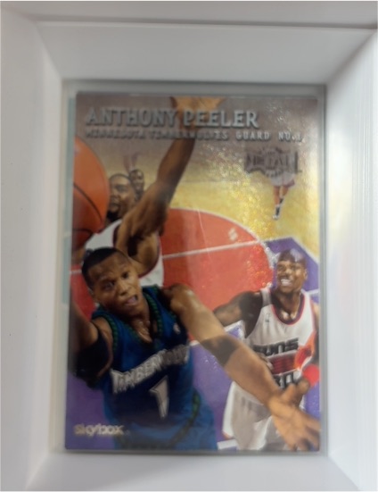 1999-00 Skybox Metal #136 Anthony Peeler — front