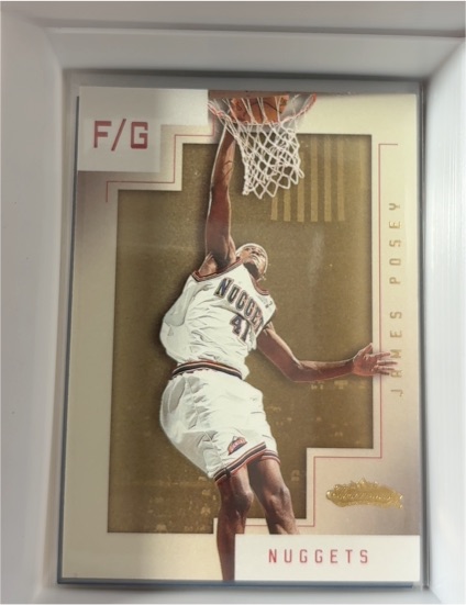 2001-02 Fleer Showcase #5 James Posey — front
