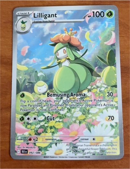 2023 Pokémon Scarlet & Violet #092 Lilligant — front