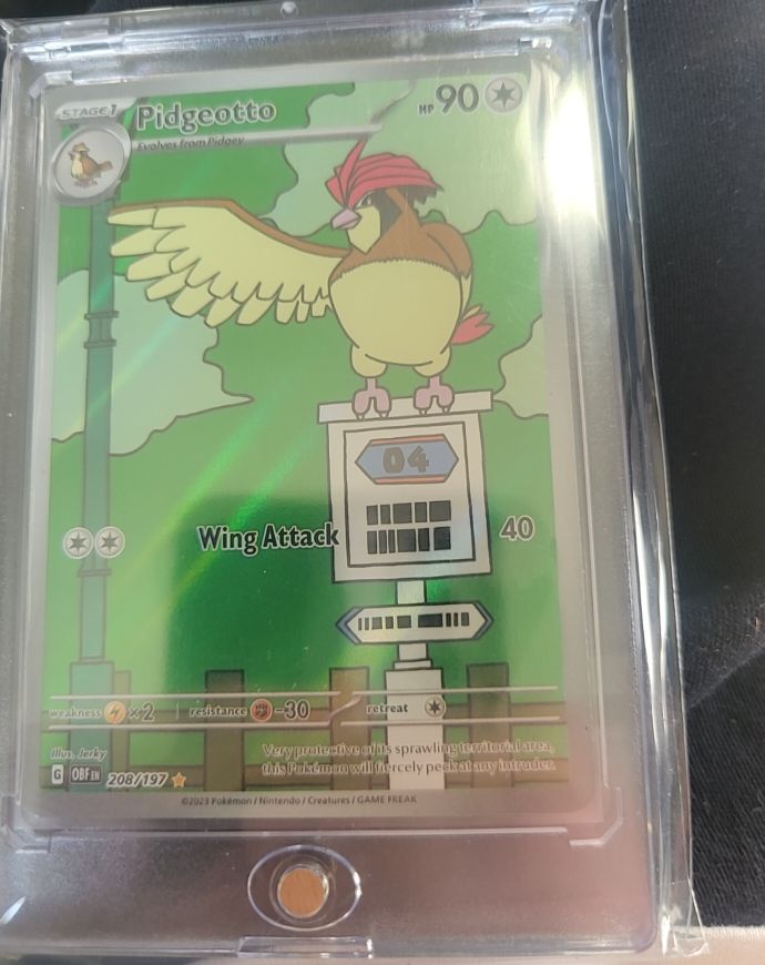 2023 Pokémon #208 Pidgeotto — front