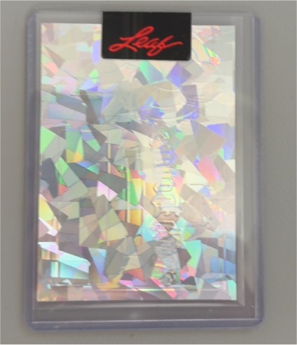 2024 Leaf Aquatic Rasheed Wallace 1/1 Pre-Production Proof — front