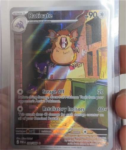 2026 Pokémon Perfect Order #099 Raticate — front