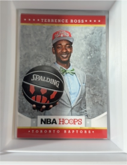 2012-13 Panini NBA Hoops #282 Terrence Ross — front