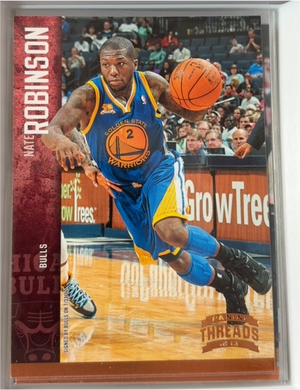 2012-13 Panini Threads #44 Nate Robinson — front