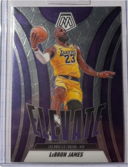 2024-25 Panini Mosaic #13 LeBron James Elevate — front