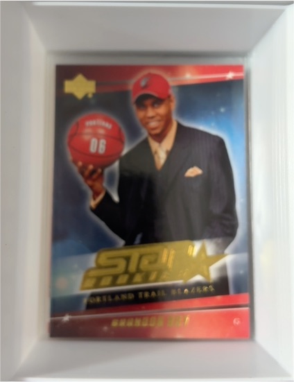 2006-07 Upper Deck Star Rookies #06 Brandon Roy — front
