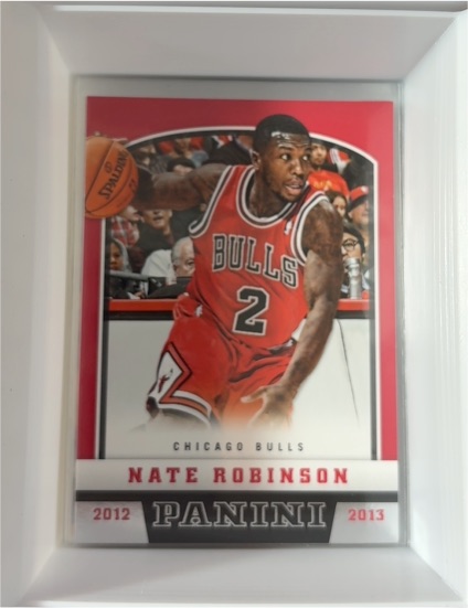 2012-13 Panini #125 Nate Robinson — front