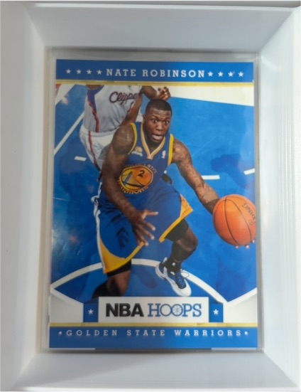2012-13 Panini NBA Hoops #183 Nate Robinson — front