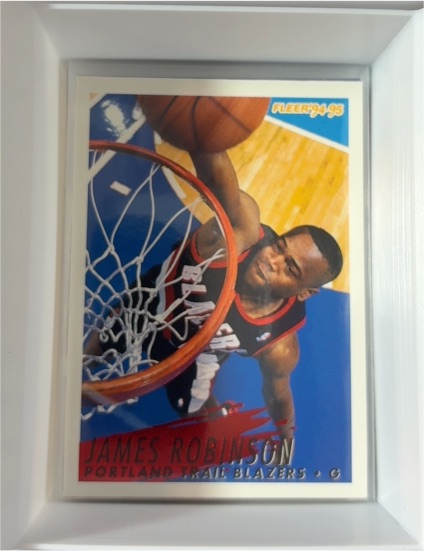 1994-95 Fleer #189 James Robinson — front