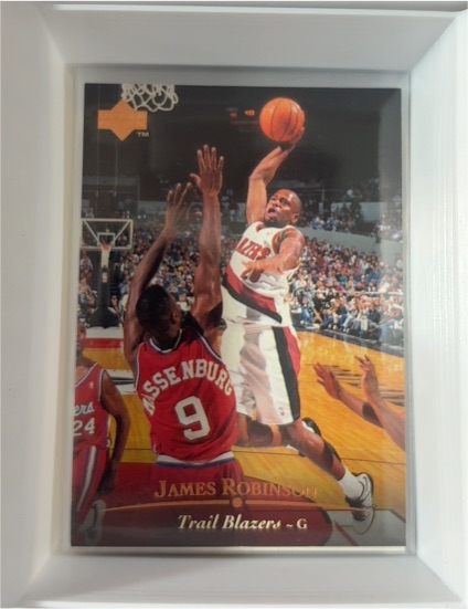 1993-94 Upper Deck #369 James Robinson — front