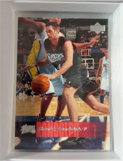 2006-07 Upper Deck #149 Shavlik Randolph — front