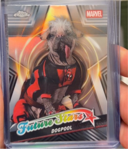 2025 Topps Chrome Deadpool #FS-8 Dogpool — front