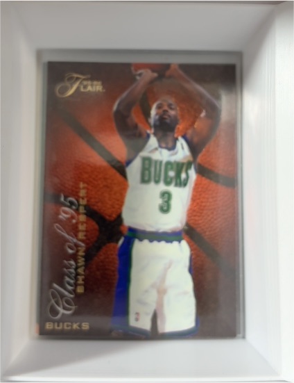 1995-96 Flair Class of '95 #R-7 Shawn Respert — front