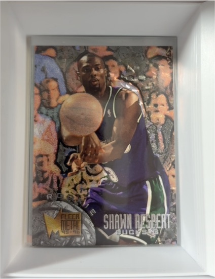 1995-96 Fleer Metal #166 Shawn Respert — front