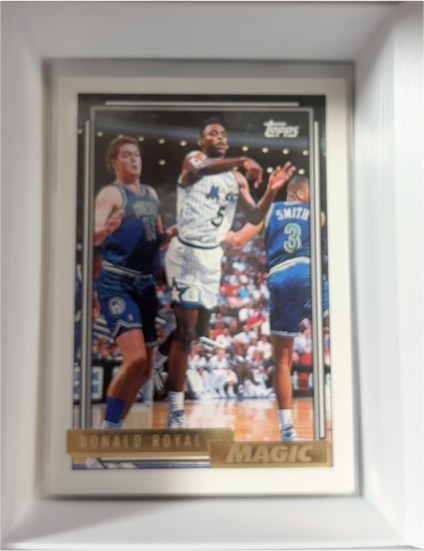1992-93 Topps #378 Donald Royal — front