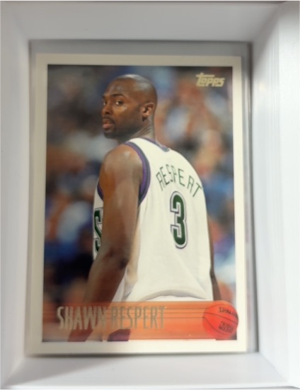 1996-97 Topps #73 Shawn Respert — front