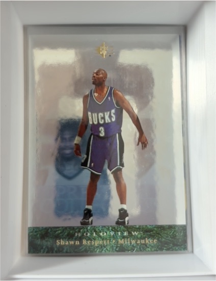 1995-96 Upper Deck SP Premium Collection Holoview #19 Shawn Respert — front