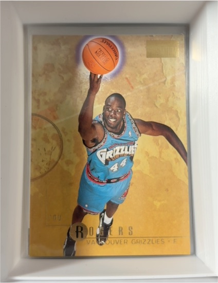 1996-97 Skybox Premium #125 Roy Rogers — front