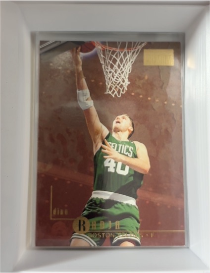 1996-97 SkyBox Premium #8 Dino Radja — front