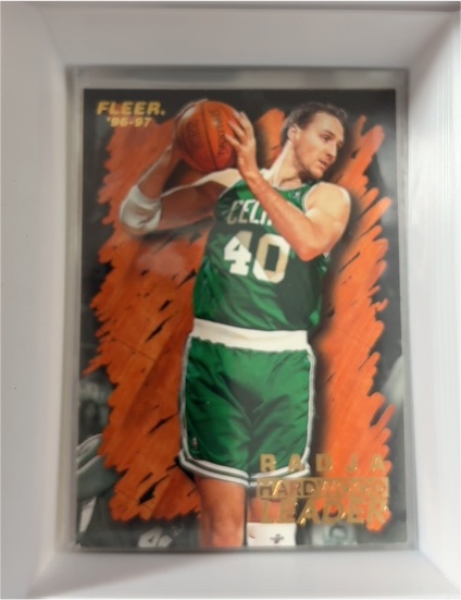 1996-97 Fleer #121 Dino Radja — front