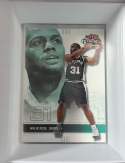 2001-02 Fleer Force #31 Malik Rose — front