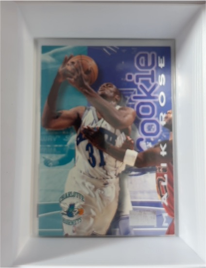 1996-97 SkyBox Premium #233 Malik Rose Rookie — front