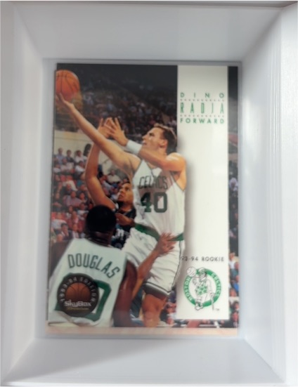 1993-94 SkyBox Premium #198 Dino Radja — front