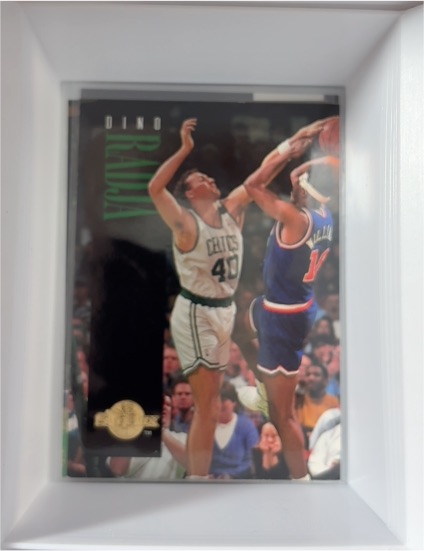 1994-95 SkyBox Premium #13 Dino Radja — front