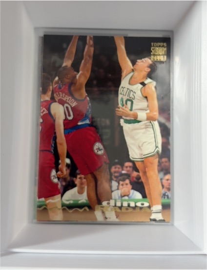 1993-94 Topps Stadium Club #318 Dino Radja — front